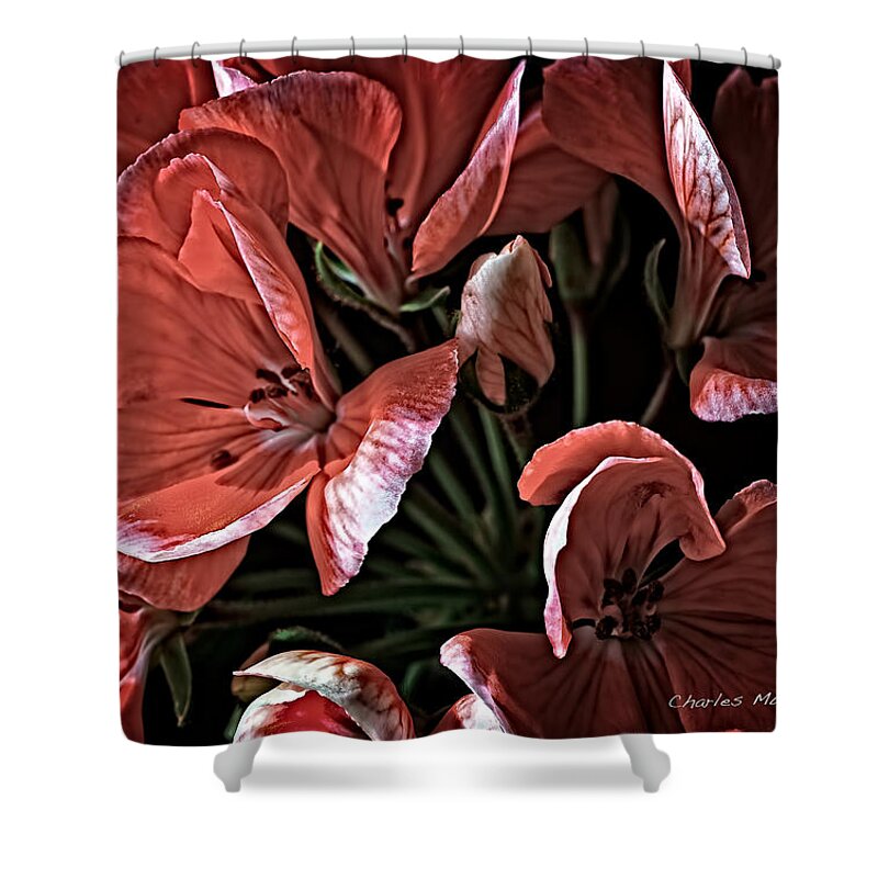 Geraniums Shower Curtain featuring the mixed media Light and shadow by Charles Muhle