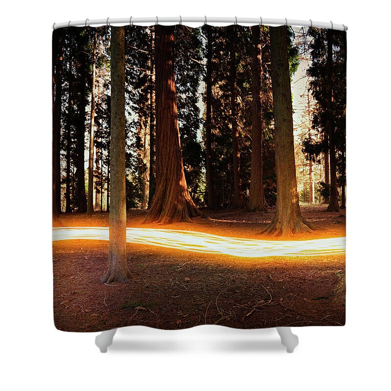 Kent Shower Curtain featuring the photograph Light Trail Passing Around Trees by Robert Decelis Ltd