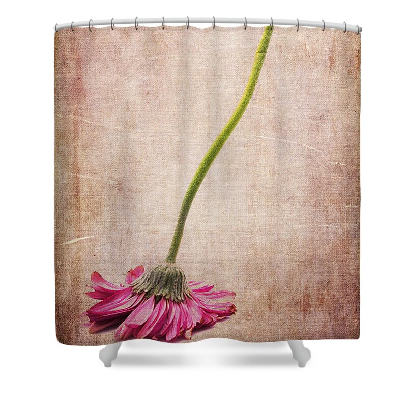 Flower Shower Curtain featuring the photograph Like a Broom by Randi Grace Nilsberg
