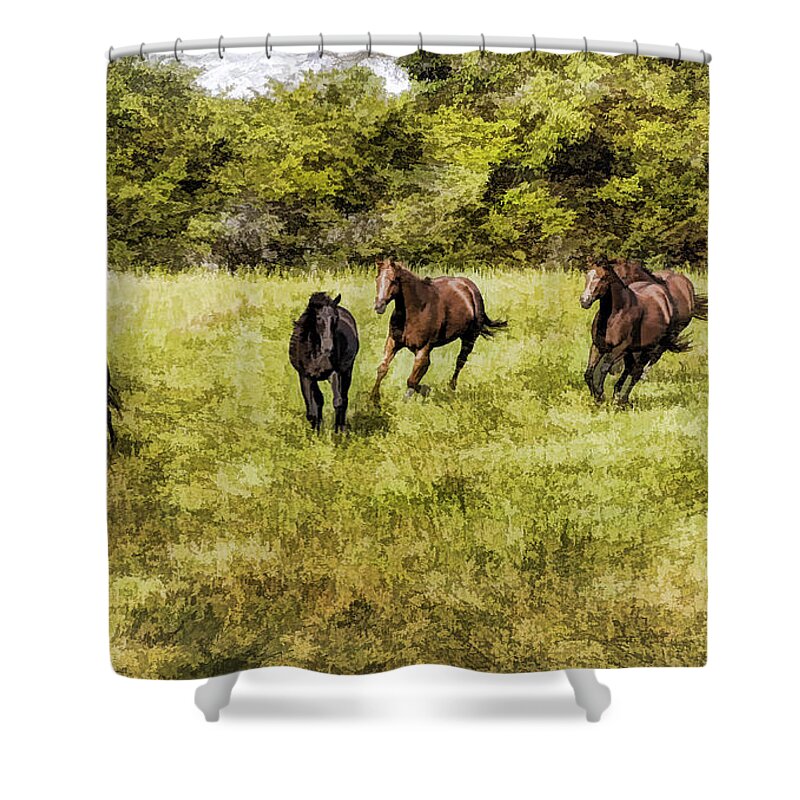 Horse Shower Curtain featuring the painting Like The Wind by Linda Blair