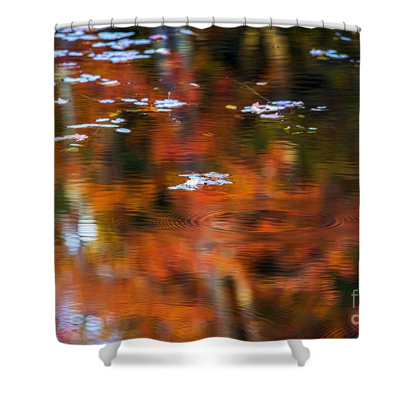 Lily Shower Curtain featuring the photograph Lily Pads by Alana Ranney