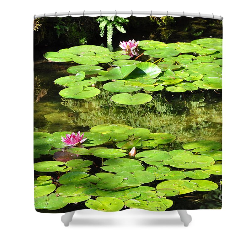 Pond Shower Curtain featuring the photograph Lily Pads by Kirt Tisdale