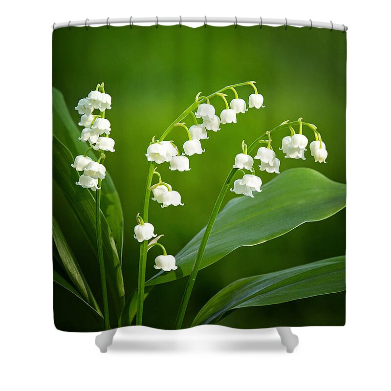Lily Of The Valley Shower Curtain featuring the photograph Lily of the Valley #2 by Carolyn Derstine