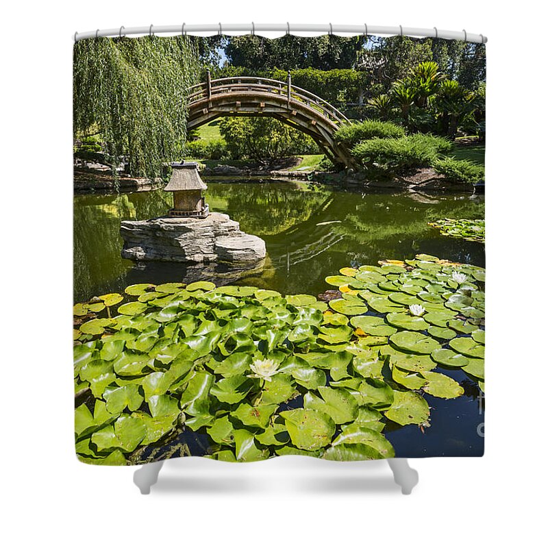 Japanese Garden Shower Curtain featuring the photograph Lily Pad Garden - Japanese Garden at the Huntington Library. by Jamie Pham