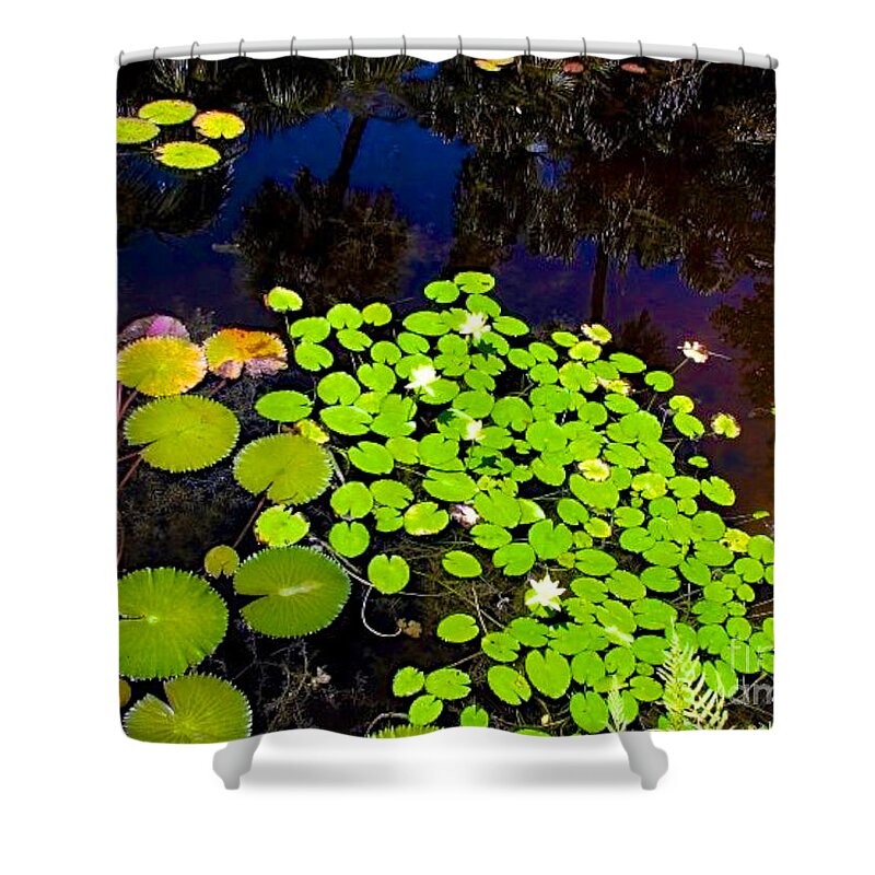 Pond Shower Curtain featuring the photograph Lily Pads by Anita Lewis