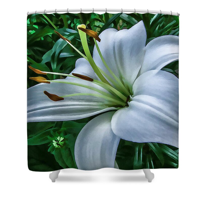 Flower Shower Curtain featuring the photograph Lily by Skip Tribby