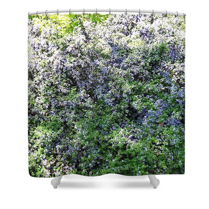 Nature Shower Curtain featuring the photograph Lincoln Park In Bloom by David Trotter
