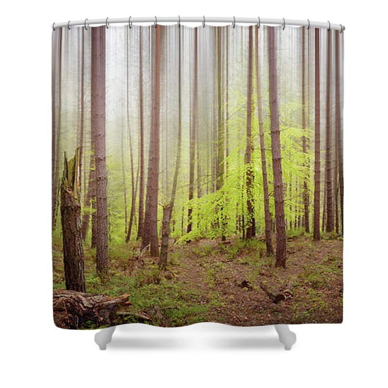 Tranquility Shower Curtain featuring the photograph Line A Trees Like A Bar Code by Photo By Jim Wicks