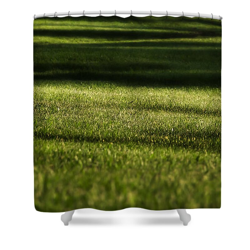 Grass Shower Curtain featuring the photograph Lines by Melissa Petrey