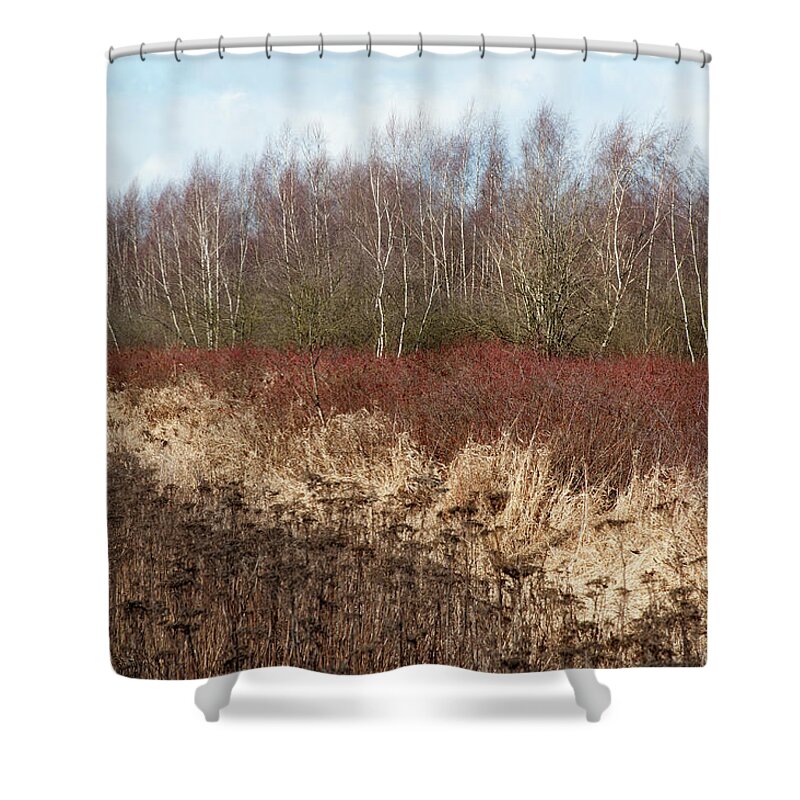 Tranquility Shower Curtain featuring the photograph Lines Of Bare Trees And Brown Grass by Stuart Mccall