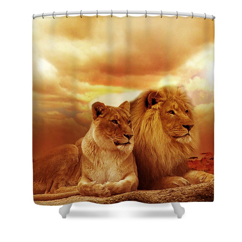 Lion Shower Curtain featuring the photograph Lion couple without frame by Christine Sponchia