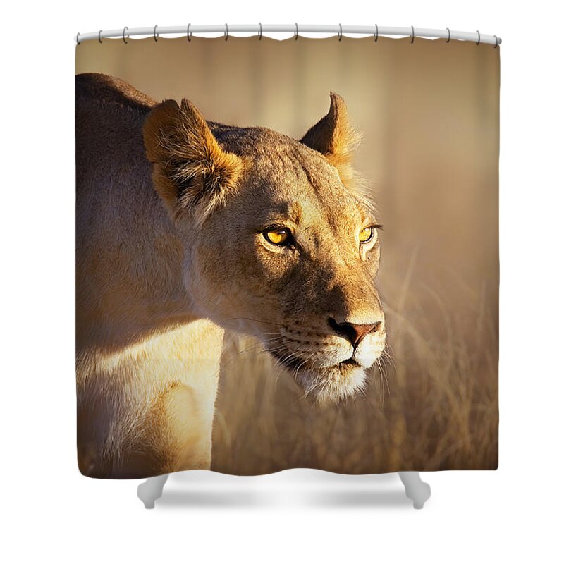 Lion Shower Curtain featuring the photograph Lioness portrait-1 by Johan Swanepoel