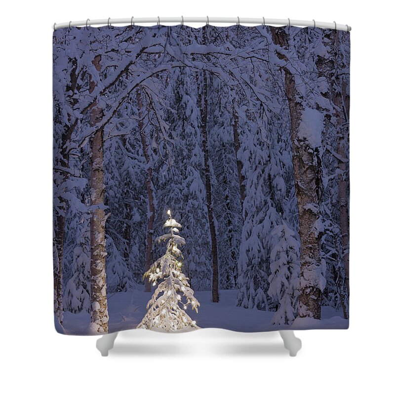 Snow Shower Curtain featuring the photograph Lit Christmas Tree In A Birch Forest At by Kevin Smith / Design Pics