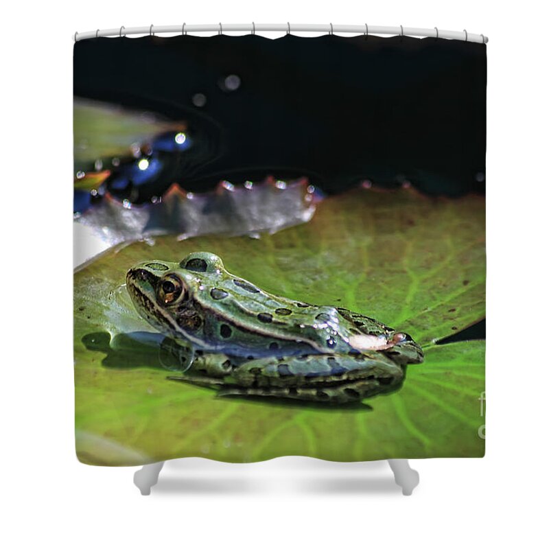 Animal Shower Curtain featuring the photograph Little Frog on A Leaf by Teresa Zieba