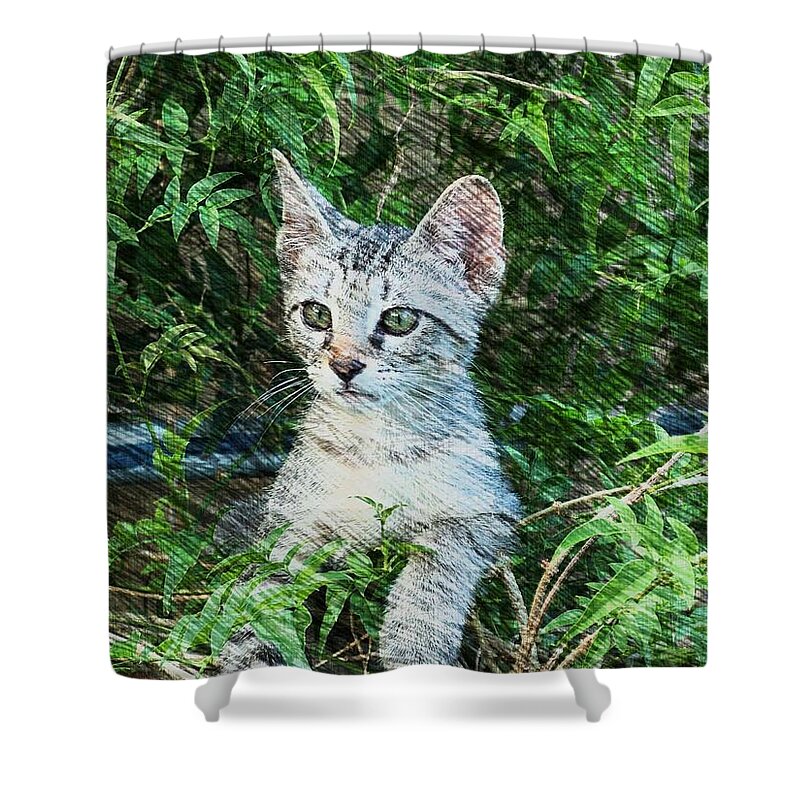 Kitten Shower Curtain featuring the photograph Little Kitten by Kathy Churchman