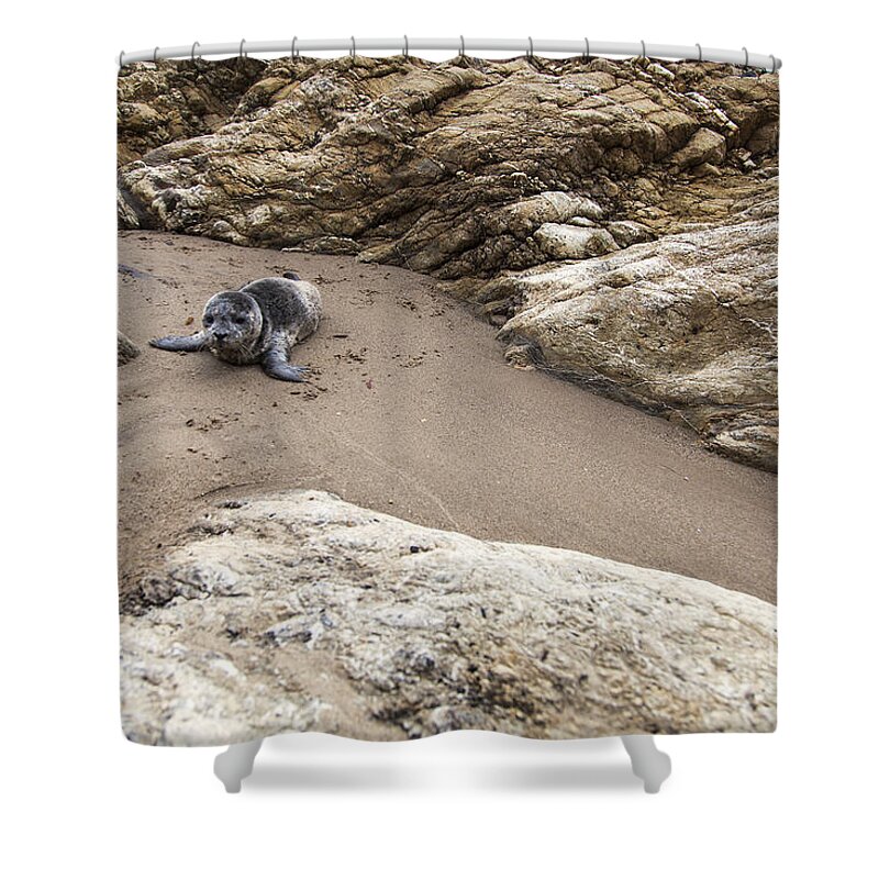 Little Things In Life Shower Curtain featuring the photograph Little things in Life by David Millenheft