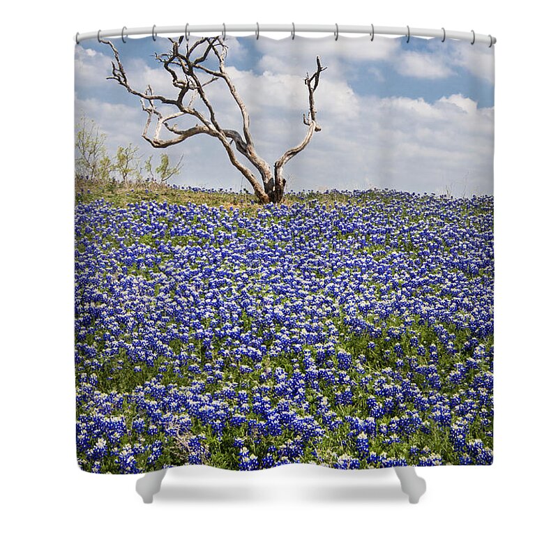 Bloom Shower Curtain featuring the photograph Live Bluebonnets and Dead Tree by David and Carol Kelly