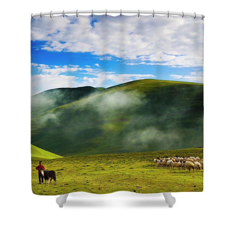 Scenics Shower Curtain featuring the photograph Livestock In Grassland by Aldo Pavan
