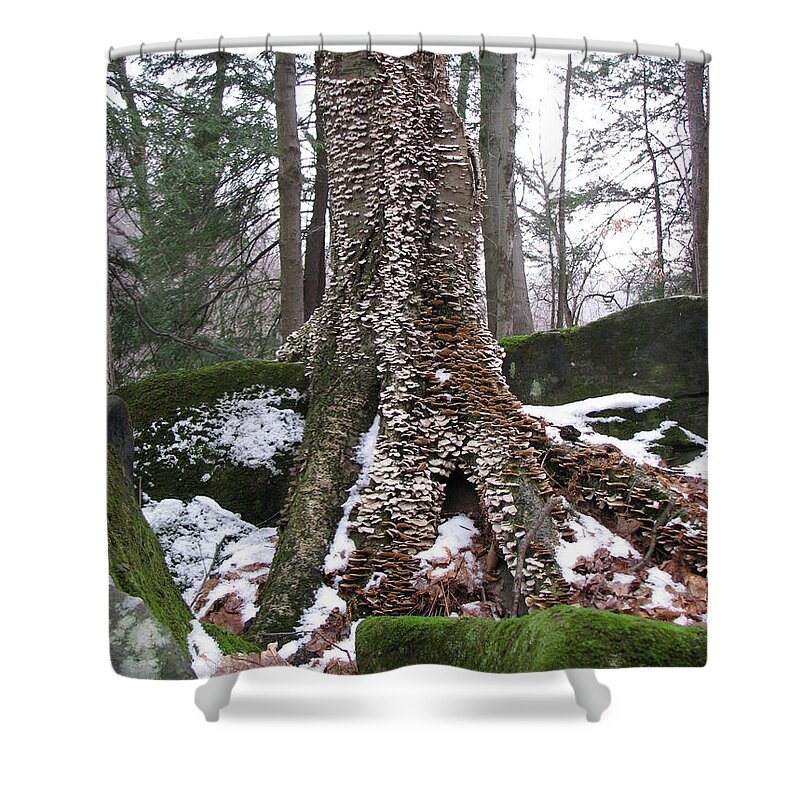 Tinker's Creek Shower Curtain featuring the photograph Living Together 2 by Michael Krek