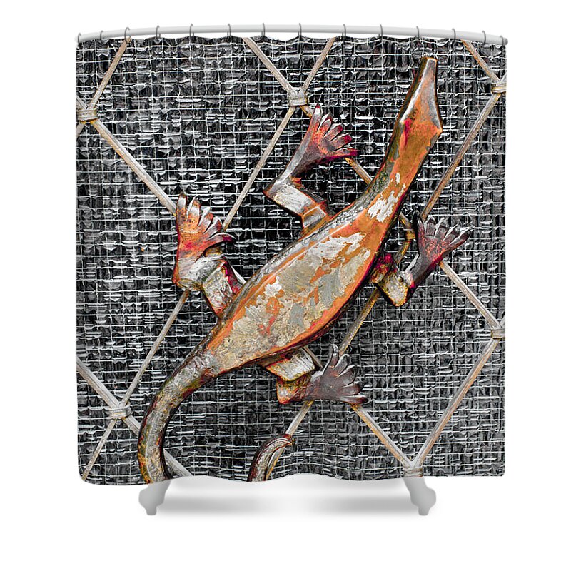 Lizard Shower Curtain featuring the photograph Lizard and Glass Door Ornament - Bavaria by Gary Whitton
