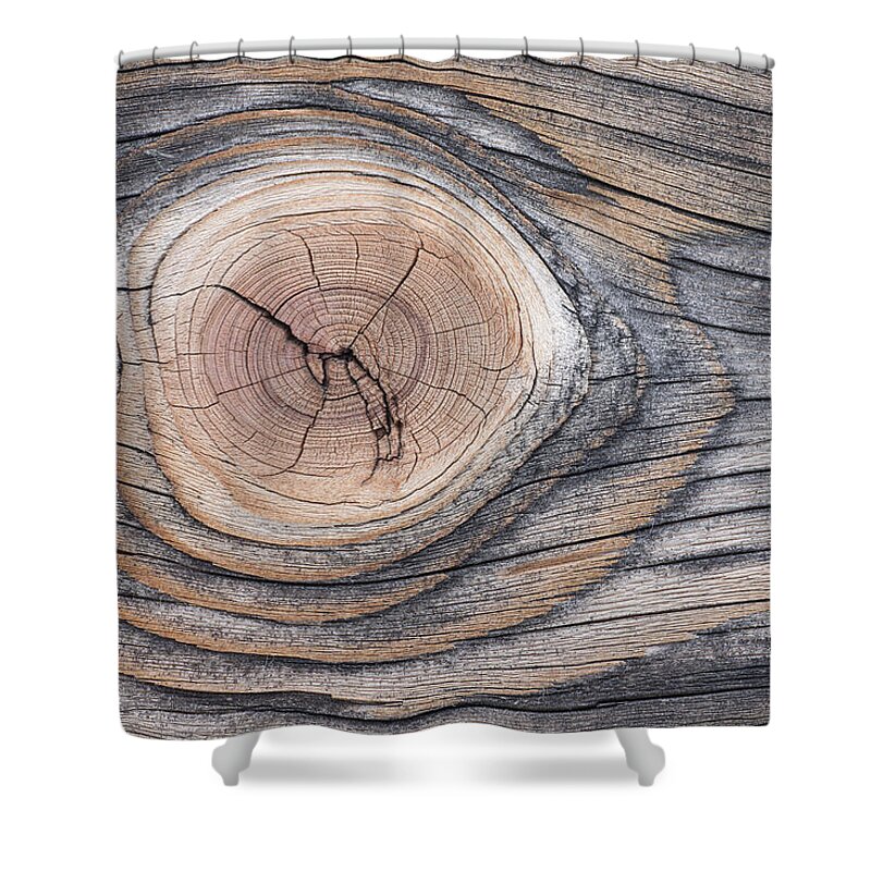 Nis Shower Curtain featuring the photograph Lodgepole Pine Wood Patterns by Peter Cairns