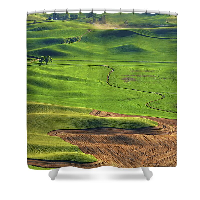 Tranquility Shower Curtain featuring the photograph Lone Cottonwood Tree Palouse by Sameer Mundkur