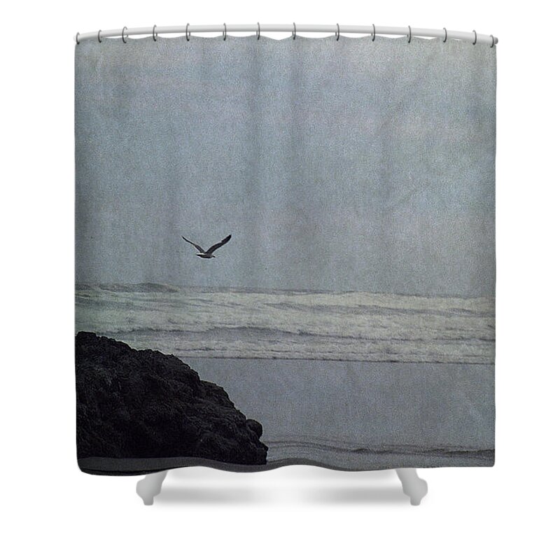 Lone Gull Shower Curtain featuring the photograph Lone Gull by Sharon Elliott