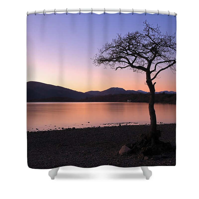 Loch Lomond Shower Curtain featuring the photograph Lone tree Sunset by Grant Glendinning