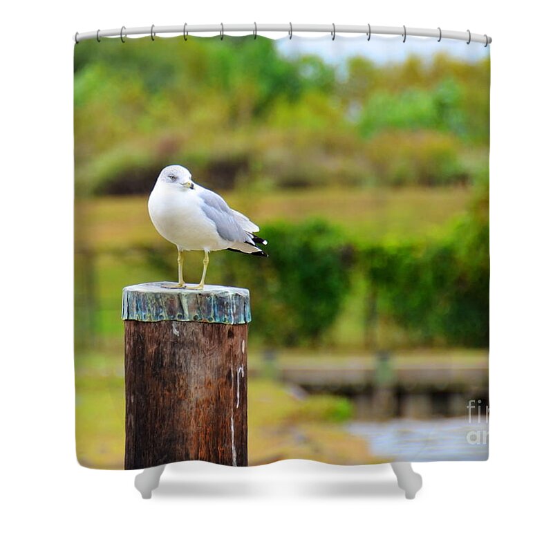 Bird Shower Curtain featuring the photograph Lonely Bird by Debbi Granruth