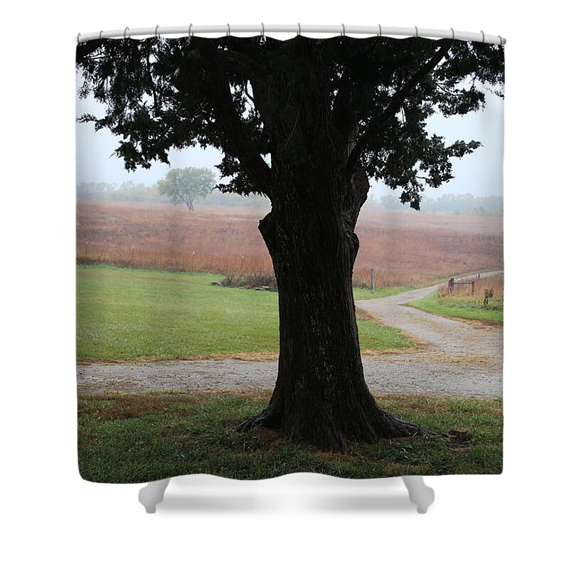 Long Shower Curtain featuring the photograph Long Ago and Far Away by Elizabeth Sullivan