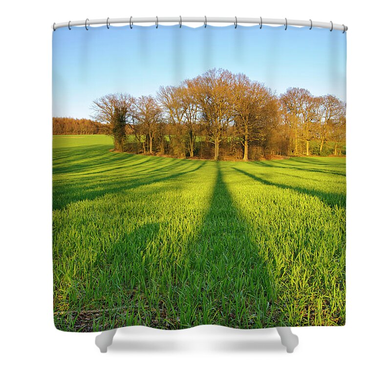Tranquility Shower Curtain featuring the photograph Long Shadows Of Trees by Photo © Stephen Chung