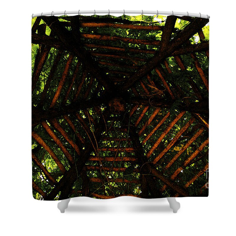 Wood Shower Curtain featuring the photograph Long Was The Prayer He Uttered by Linda Shafer