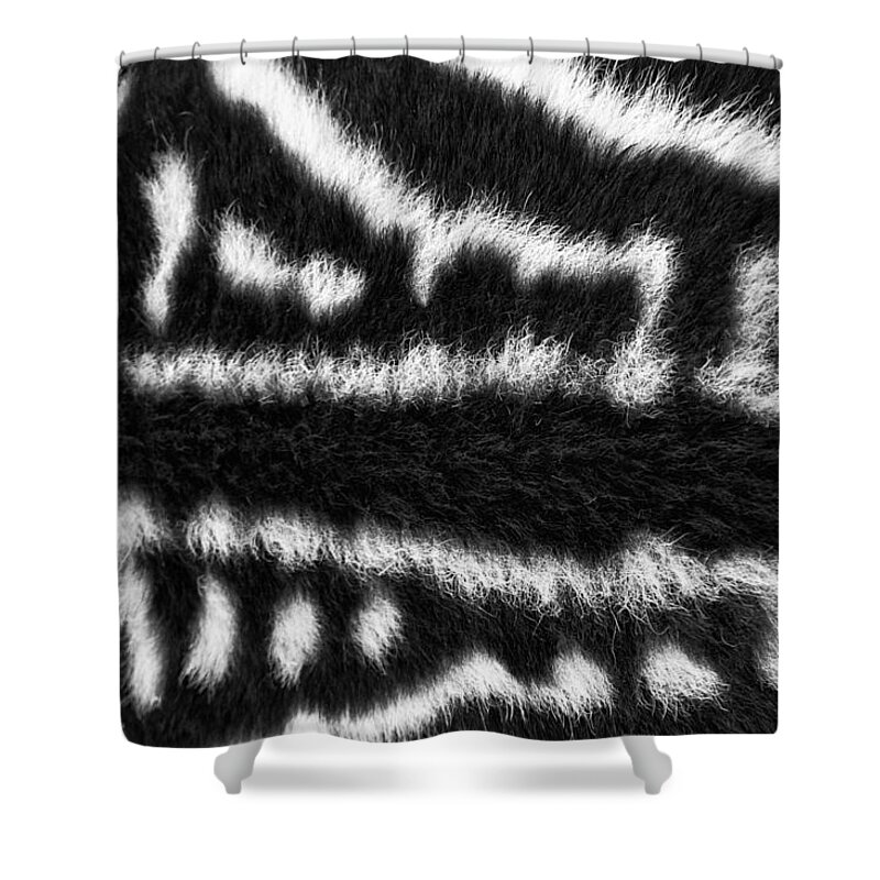 Zebra Shower Curtain featuring the photograph Looking Down Upon a Zebra by Mary Lee Dereske