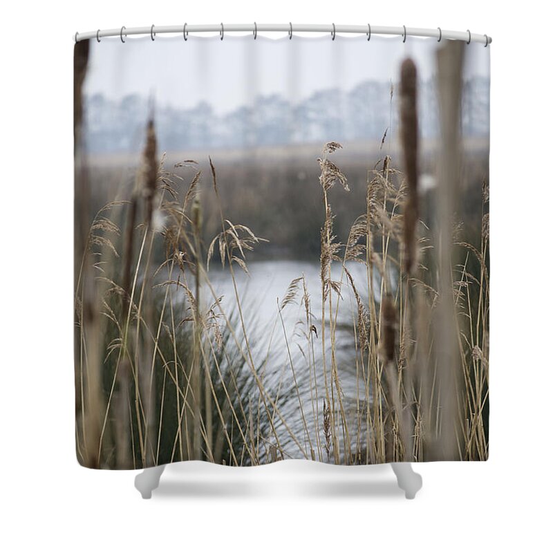 Reeds Shower Curtain featuring the photograph Looking through the Reeds by Spikey Mouse Photography