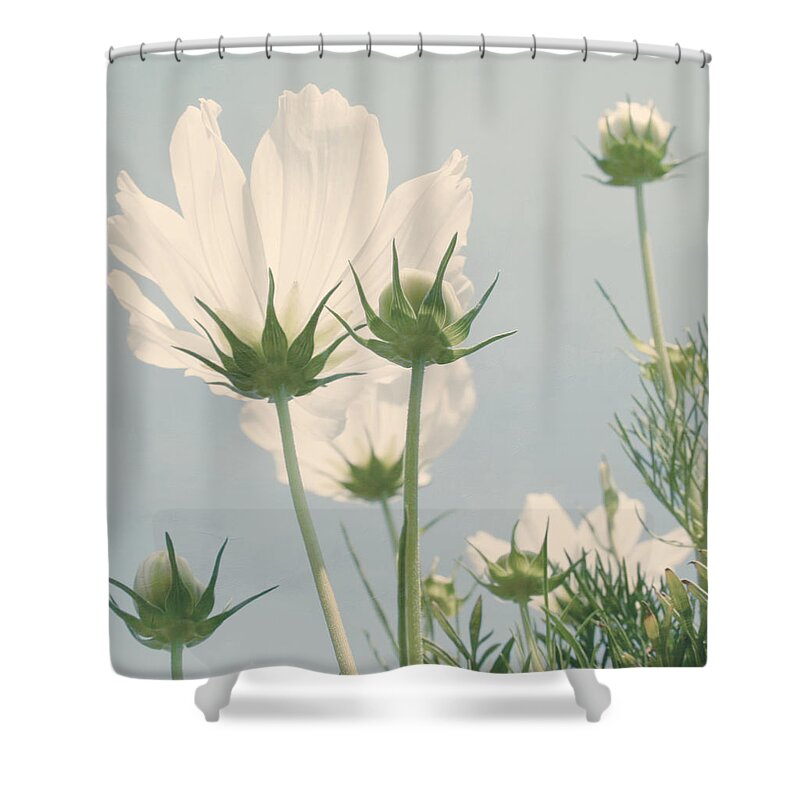 Flower Shower Curtain featuring the photograph Looking Up by Kim Hojnacki