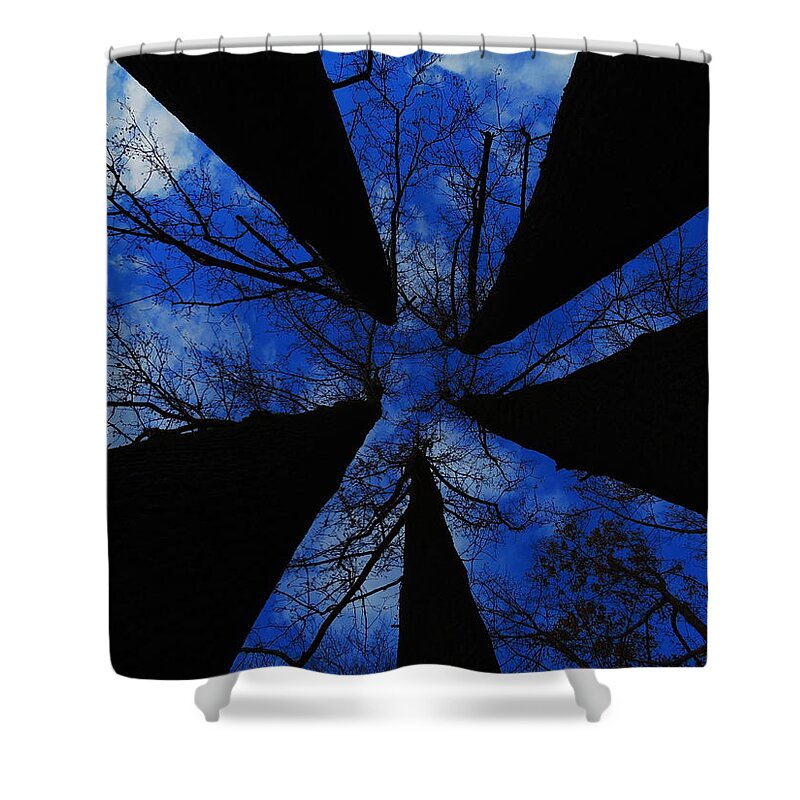 Trees Shower Curtain featuring the photograph Looking Up by Raymond Salani III