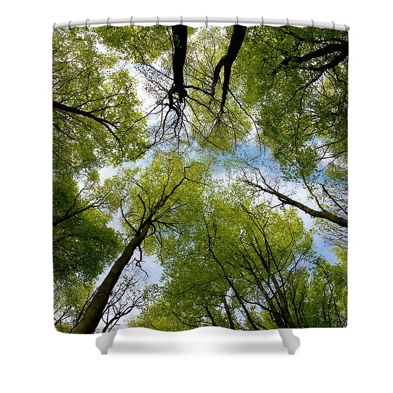 Tree Shower Curtain featuring the digital art Looking up by Ron Harpham