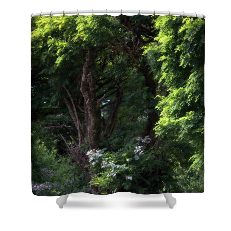 Bush Shower Curtain featuring the photograph Lost In Time by Jeanette C Landstrom