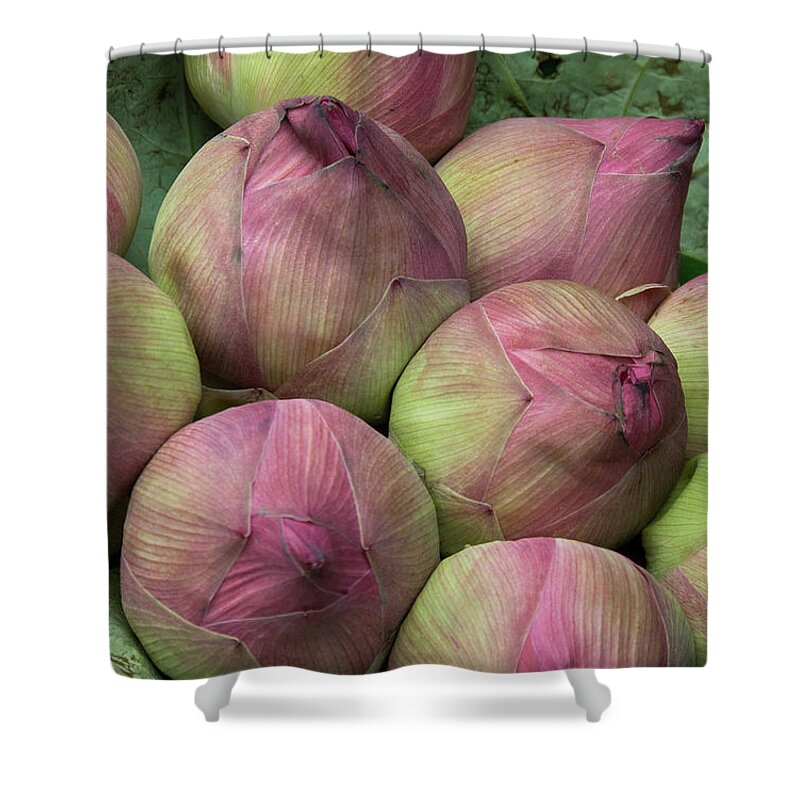 Bunch Shower Curtain featuring the photograph Lotus Buds by Rick Piper Photography