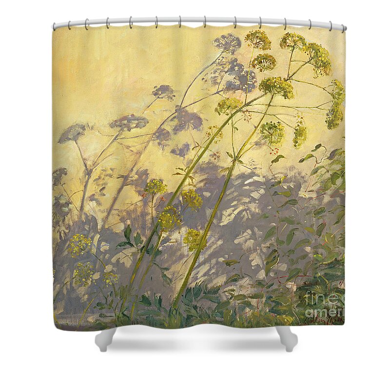 Shadow; Flower; Wild; Plant Shower Curtain featuring the painting Lovage Clematis and Shadows by Timothy Easton