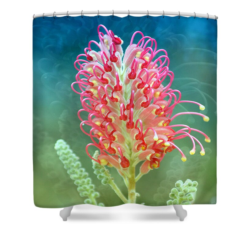 Red Shower Curtain featuring the photograph Love and Kisses by Holly Kempe