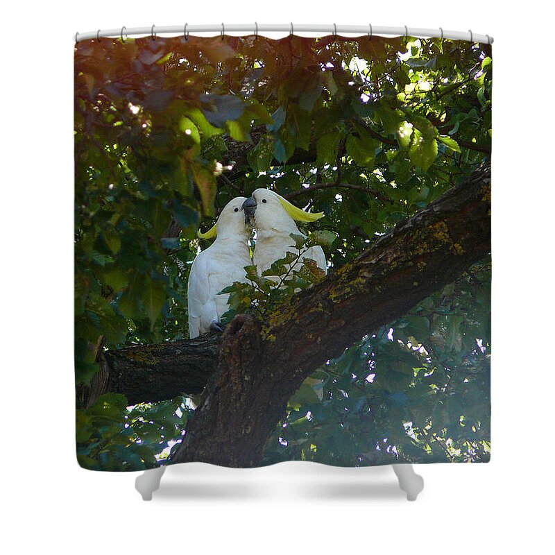 Love Shower Curtain featuring the photograph Love Birds by Evelyn Tambour