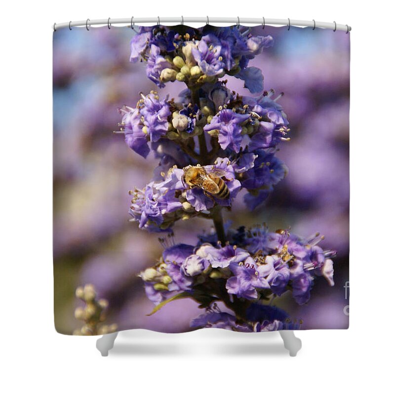 Flower Shower Curtain featuring the photograph Love From Anna by Linda Shafer