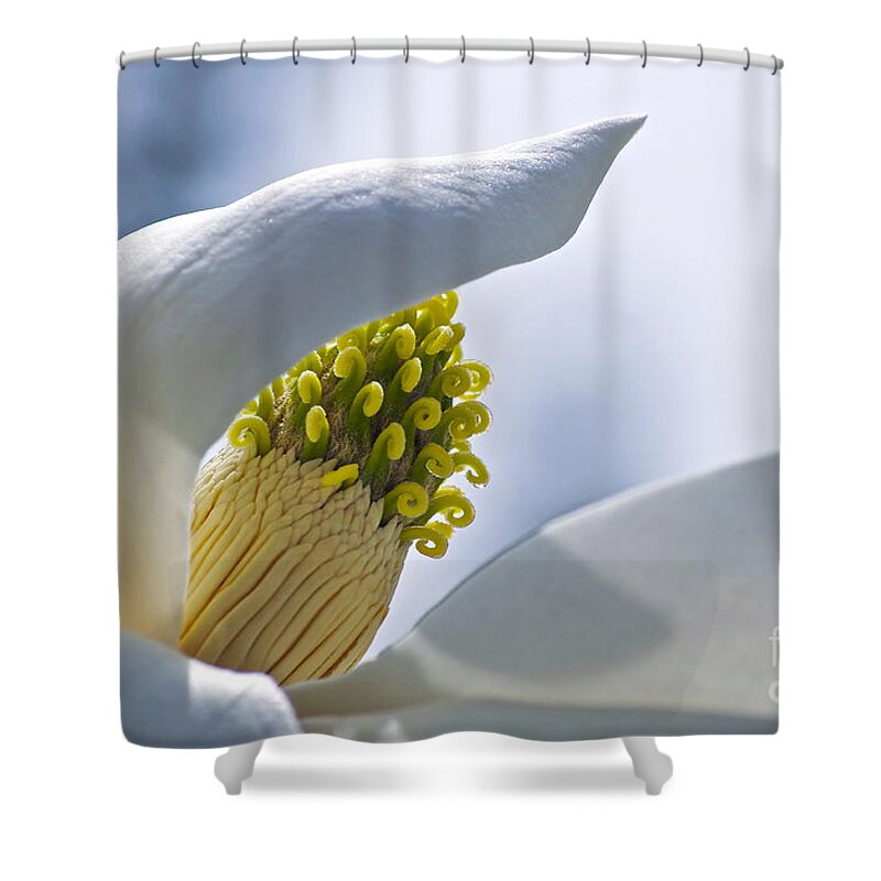 Magnolia Shower Curtain featuring the photograph Love of Nature by Gwyn Newcombe