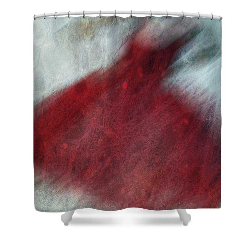 Love Shower Curtain featuring the photograph Love Two Dance by J C