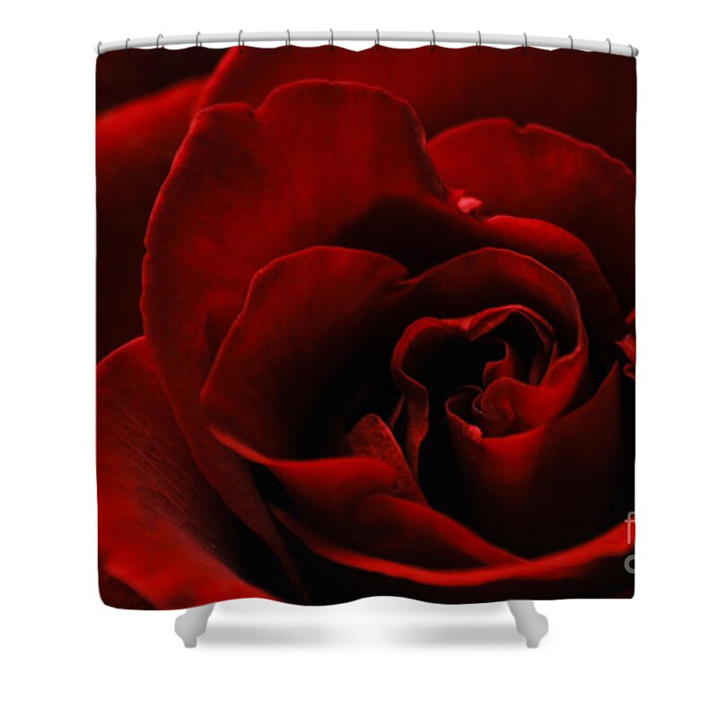 Beatuy Shower Curtain featuring the photograph Lovers Choice by Hannes Cmarits