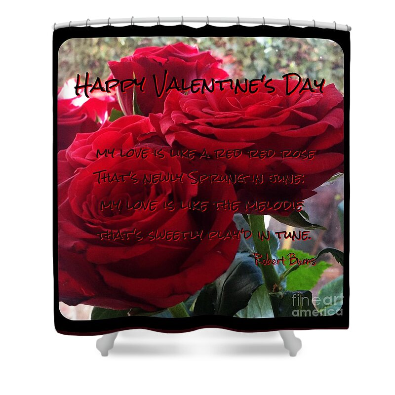 Red Roses Shower Curtain featuring the photograph Lover's Roses Valentine's Greeting 2 by Joan-Violet Stretch