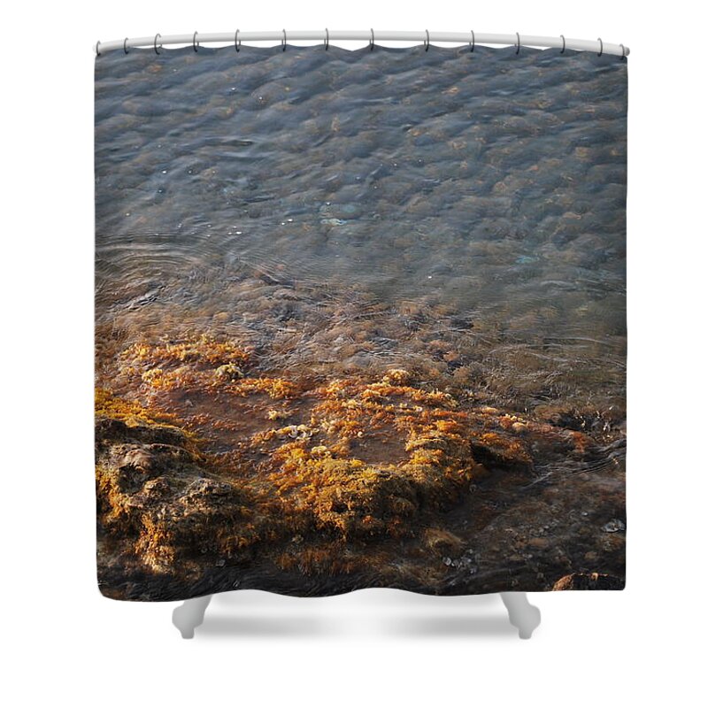 Low Tide Shower Curtain featuring the photograph Low Tide by George Katechis