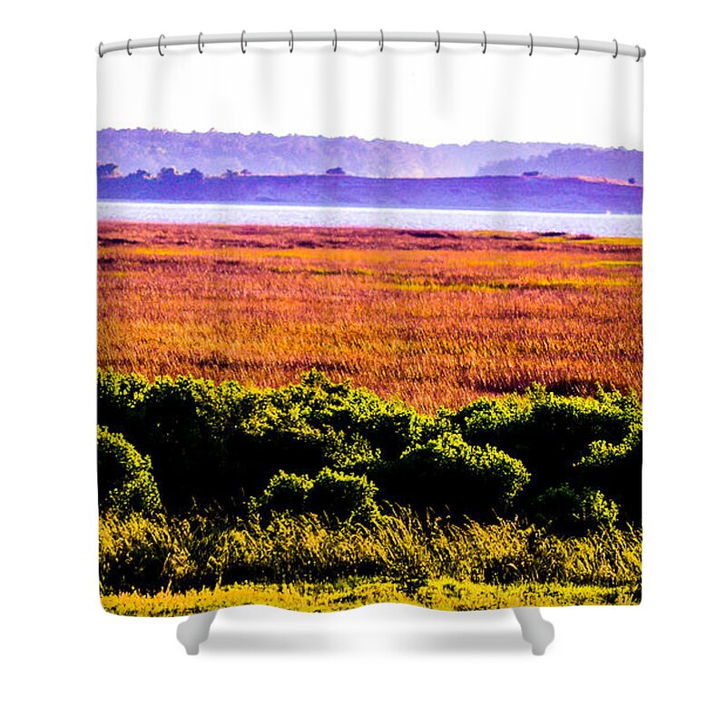 Cape Fear Shower Curtain featuring the photograph Lowland Light by Mary Hahn Ward