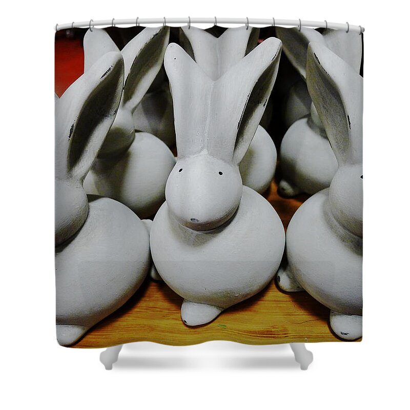 Rabbit Shower Curtain featuring the photograph Lucky Foot Forward by Richard Reeve